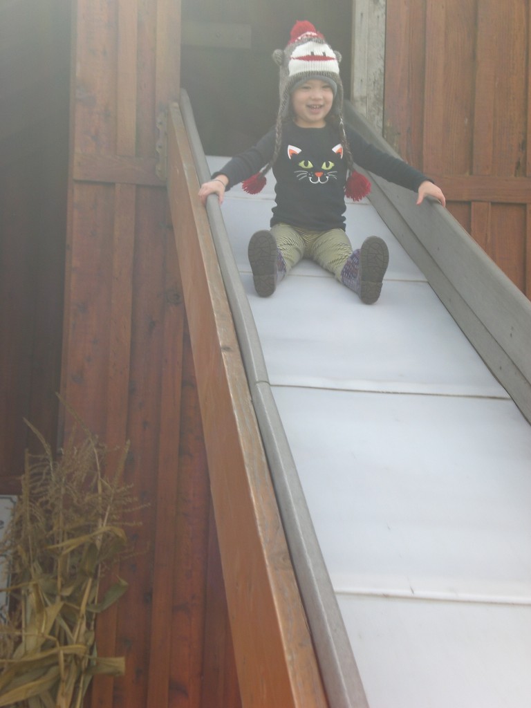 Weeeeeeee!